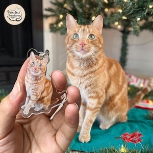 Könnte beinhalten: Ein transparenter Acryl-Schlüsselanhänger mit einem Foto einer rotbraunen Katze. Die Katze sitzt mit den Pfoten unter dem Körper und schaut nach oben. Der Schlüsselanhänger wird in der Hand einer Person gehalten. Der Hintergrund ist ein verschwommenes Bild eines Weihnachtsbaums.