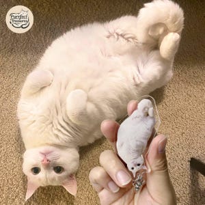 May include: A white cat keychain with a clear acrylic background. The cat is lying on its back with its paws in the air. The keychain is attached to a silver ring.