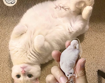 Cat Keyring, Custom Pet Photo Keychain, Dog Memorial Gift, Personalized Cat Photo Keychain, Dog Keychain, Christmas Gift