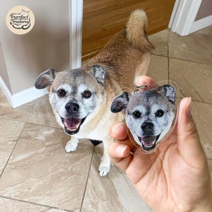 May include: A brown and white dog with a happy expression is looking at the camera. A clear acrylic keychain with a photo of the same dog is being held in a person's hand.