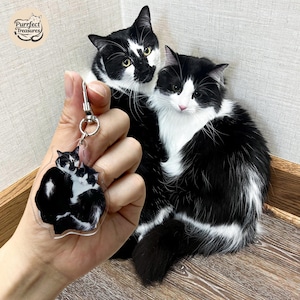 May include: A clear acrylic keyring featuring a black and white cat design is held in front of two black and white cats. The keyring has a silver clasp. The cats in the image have black fur with white markings.