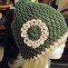 see more listings in the Crocheted Hats section