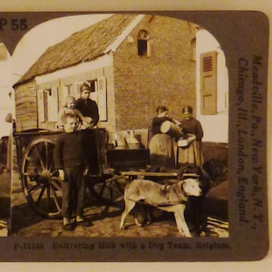 Antique  KEYSTONE Photo 1900s DOG TEAM Delivering Milk Belgium 7x3.5