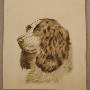 SPANIEL  PRINT ETCHING-Drypoint Antique Signed 8 7/8 x 8 1/8  great condition