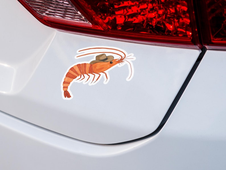 May include: A white car with a sticker of a shrimp wearing a cowboy hat.