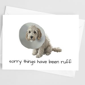 Désolé les choses ont été carte de sympathie Ruff - aquarelle, griffonnage chien, rétablissement rapide, rupture, maladie, carte des moments difficiles, rétablissement après chirurgie