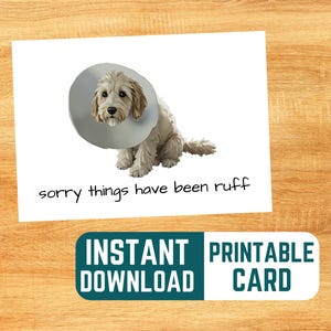 Désolé les choses ont été carte de sympathie Ruff - téléchargement immédiat, aquarelle, chien de griffonnage, rétablissement bientôt, rupture, maladie, carte de périodes difficiles