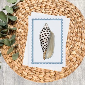 Può includere: Un biglietto di auguri con un'illustrazione ad acquerello di una conchiglia con macchie nere e interno color crema, incorniciato da un bordo smerlato azzurro. Il biglietto è posto su un sottobicchiere circolare intrecciato, con rametti di eucalipto.