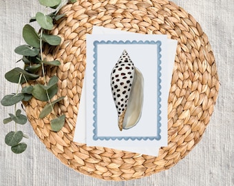 Seashell Stamp Watercolor Stationery - Note Cards, Blank Cards, Thank You, Watercolor Stationery, Blue, Sea Shells, Coastal, Beach