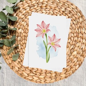 Papelaria Amaryllis - Cartões de Nota, Cartões em Branco, Cartão de Felicitações, Cartões de Agradecimento, Aquarela de Flor de Lírio Rosa, Papelaria Floral, Cartão de Flor