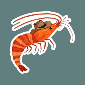 May include: A cartoon illustration of a shrimp wearing a brown cowboy hat. The shrimp is orange and has a white outline.