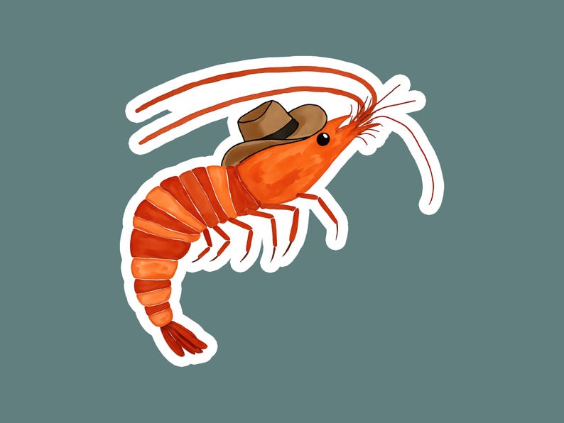 May include: A cartoon illustration of a shrimp wearing a brown cowboy hat. The shrimp is orange and has a white outline.