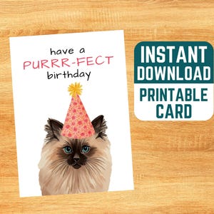 Cartão de aniversário de gato para impressão - Cartão de aniversário em aquarela, download instantâneo, aniversário perfeito, cartão de aniversário de gato siamês, gatinho fofo em aquarela