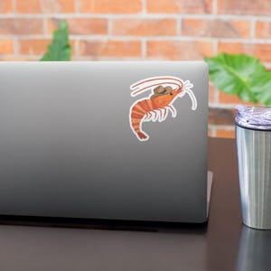 May include: A sticker of a cartoon shrimp wearing a cowboy hat. The shrimp is orange and white with a brown hat. The sticker is on a silver laptop.
