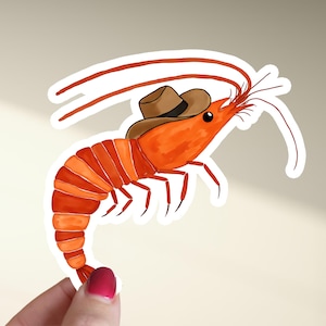 May include: A cartoon illustration of a shrimp wearing a brown cowboy hat. The shrimp is orange and has a white outline. The shrimp is facing the right side of the image.