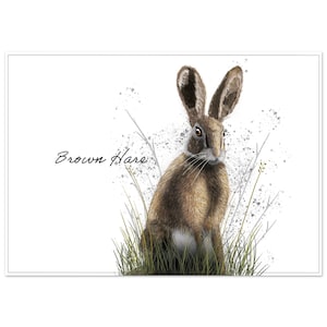 Ritratto di una lepre bruna / Stampa artistica di animali su carta opaca di alta qualità / Illustrazione di fauna selvatica disegnata a mano, poster per la decorazione della casa della natura del Regno Unito