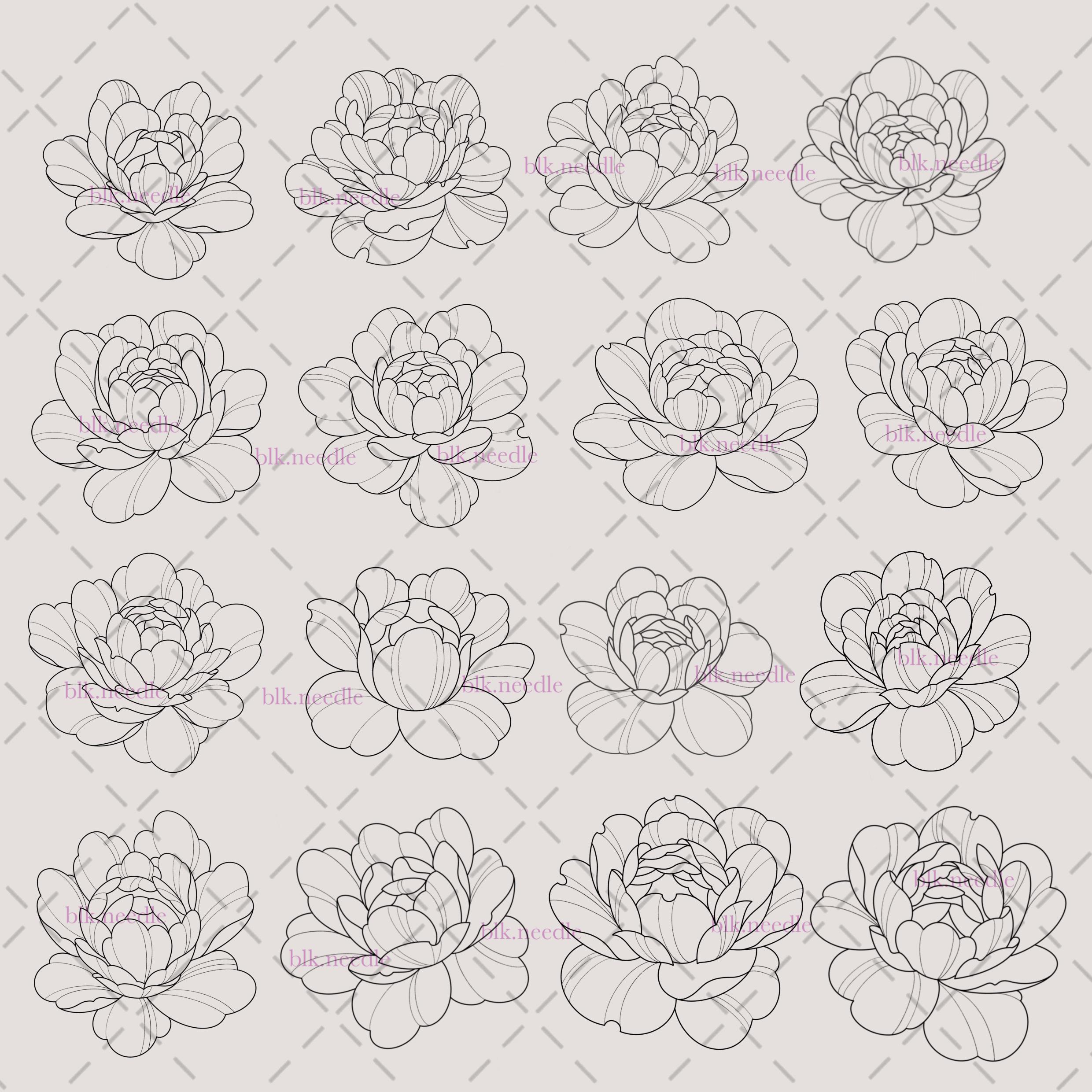 100 Peony Tattoo Stamps for Procreate Tattoo Brushes Peony Brushes ...