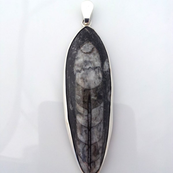 Large Orthoceras fossil pendant. Sterling silver pendant. Black pendant. Large pendant.