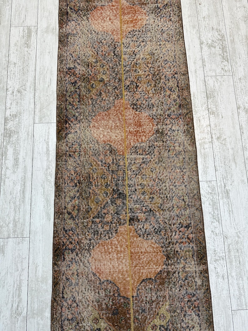 May include: A long, narrow rectangular runner rug featuring a repeating pattern of large, rounded, peach-colored medallions centered along a vertical axis. The background is filled with intricate, dark, muted floral and geometric motifs.