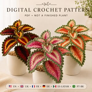 Watermelon Coleus Crochet Pattern PDF, Realistic Potted Houseplant and Botanical Leaf Tutorial