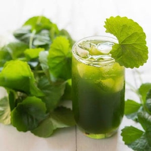 Gotu Kola Tea.Centella Asiatica Tea.Herbal Tea.Natural Gotu Kola.Dried Gotu Kola Leaves.Health Tea.Natural Tea.Thai Herb Tea.Organic Tea