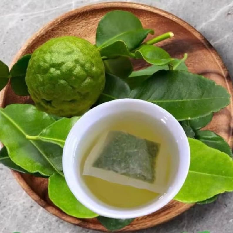 Kaffir Lime Tea.aromatic Tea.leaf for Herbal Tea.100% Real Kaffir Lime ...