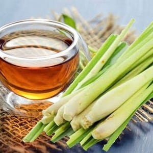 Organic Dried Lemongrass.Thai Lemongrass.Shredded Lemongrass.Loose Leaf Tea Organic.Lemongrass for Cooking.Lemongrass Tea.Herb Spices.500 g.