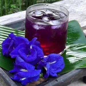 Butterfly pea flower tea.Dried butterfly pea flowers.Herbal tea.Organic butterfly pea tea.Blue tea.Natural blue tea.Health tea.Unique herbal