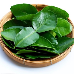 Organic Kaffir Lime Leaves for Tom Yum Cooking Herbs Thai Food Gift for Cooking Lovers Natural Lime Leaves for Cooking Gift for Mother 1 Kg.