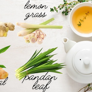 Ginger, Galangal, Lemongrass & Pandanus Tea.Organic Thai Herbal Tea Blend.Herbal Tea.Herbal Tea Blend.Herbal Tea.Thai Tea Blend