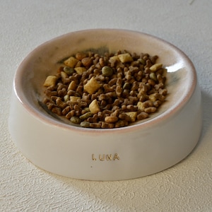 Personalized pet bowls, customized ceramic cat and dog bowls, gift for pet lovers, unique gifts for pet owner, handmade ceramic pet bowl