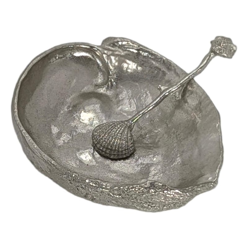 Abalone Salt Dish - Etsy