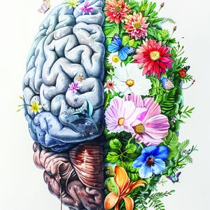 Psychology. Human Psychology. Mental Health Art. Brain Art. Therapist ...