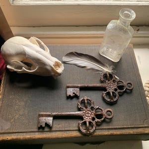 May include: Two antique skeleton keys with ornate metalwork, a small animal skull, a feather, and a clear glass bottle on a brown leather-bound book.