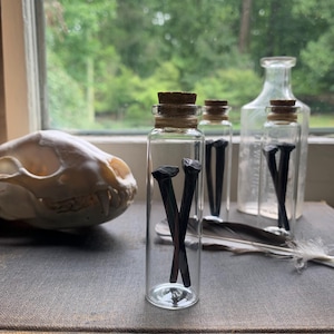 May include: A still life arrangement featuring small glass bottles with cork stoppers. The bottles contain dark, metallic objects, possibly nails or tacks. A skull and feathers are also present, creating a gothic or apothecary aesthetic.
