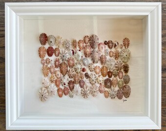 Limpet Collage Beach Wall Decor