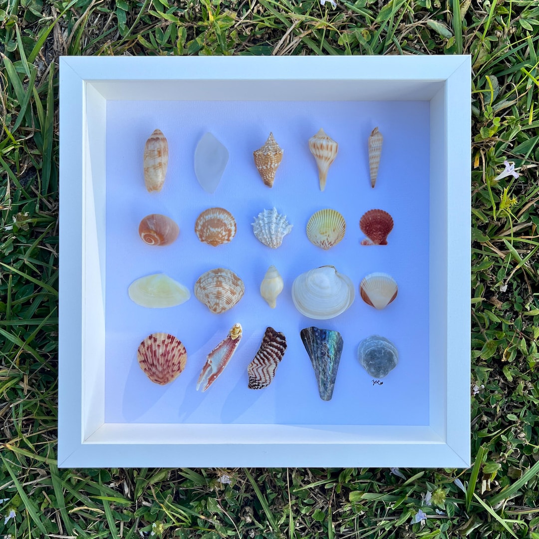 Shell Beach Grid Wall Art! - Etsy