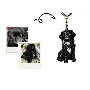 May include: A black dog keychain featuring a three-dimensional figurine of a small, long-haired dog with a white patch on its chest, attached to a silver-toned metal chain and ring, displayed alongside two square photographs of the same dog.