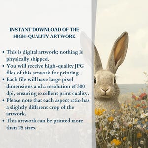 K&ouml;nnte beinhalten: Ein digitaler Download eines hochwertigen Bildes eines niedlichen Kaninchens auf einer Blumenwiese. Das Bild ist in verschiedenen Gr&ouml;&szlig;en und Aufl&ouml;sungen verf&uuml;gbar, perfekt zum Drucken.