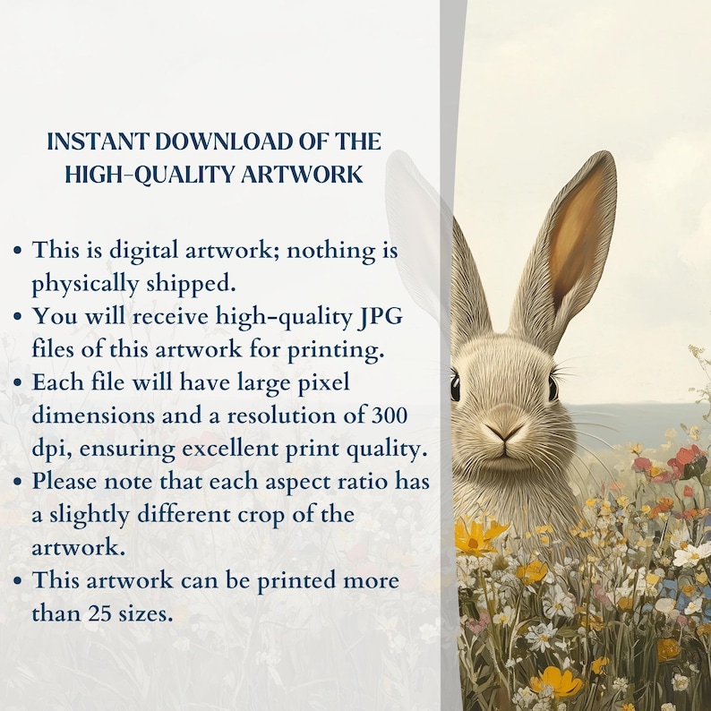 K&ouml;nnte beinhalten: Ein digitaler Download eines hochwertigen Bildes eines niedlichen Kaninchens auf einer Blumenwiese. Das Bild ist in verschiedenen Gr&ouml;&szlig;en und Aufl&ouml;sungen verf&uuml;gbar, perfekt zum Drucken.