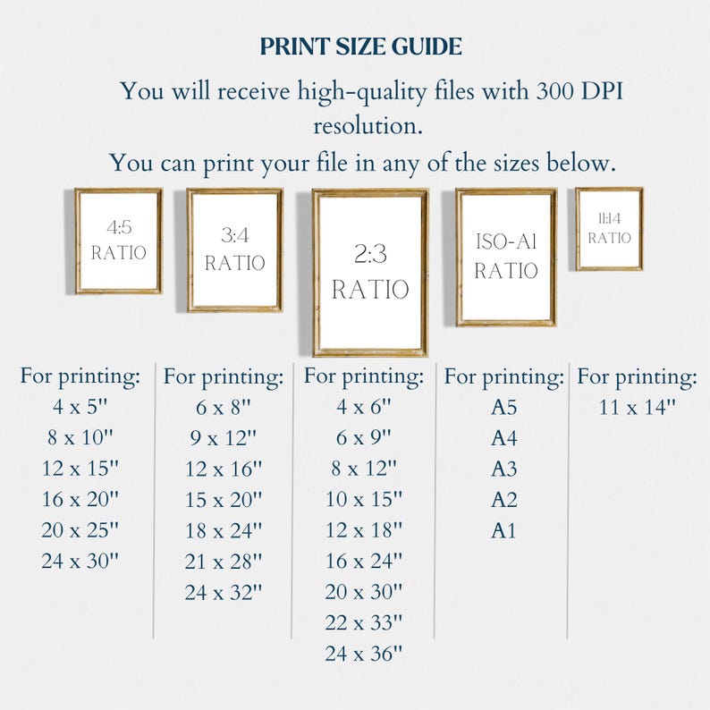 May include: A print size guide with different aspect ratios and corresponding print sizes in inches. The guide includes 4:5, 3:4, 2:3, ISO-AI, and 1:1 aspect ratios. The print sizes range from 4x5 inches to 24x36 inches.