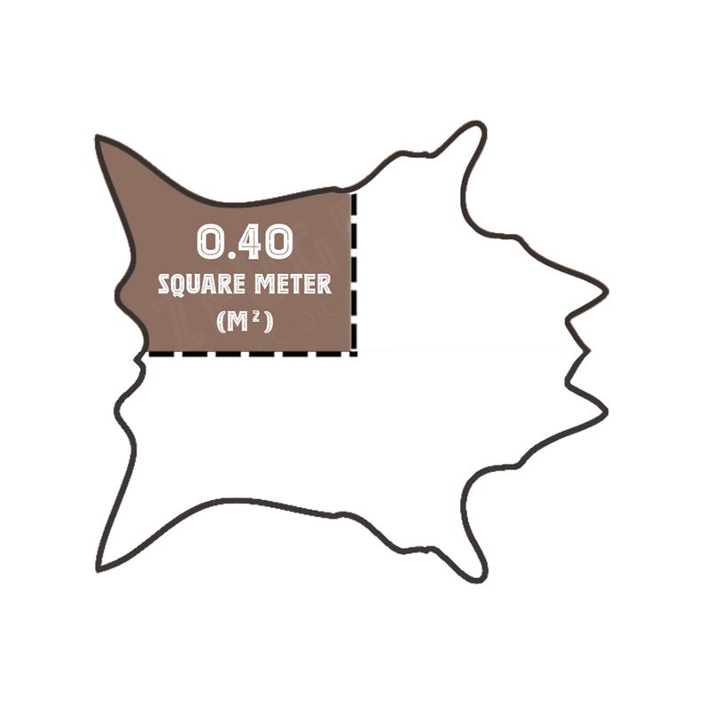 May include: An illustration of a brown shape with a rectangular section marked with a dashed line. The text within the rectangle reads "0.40 SQUARE METER (M&sup2;)". The background is white.