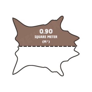 May include: A brown, irregularly shaped object with the text "0.90 SQUARE METER (M&sup2;)". The object is divided by a dashed line. The background is white.
