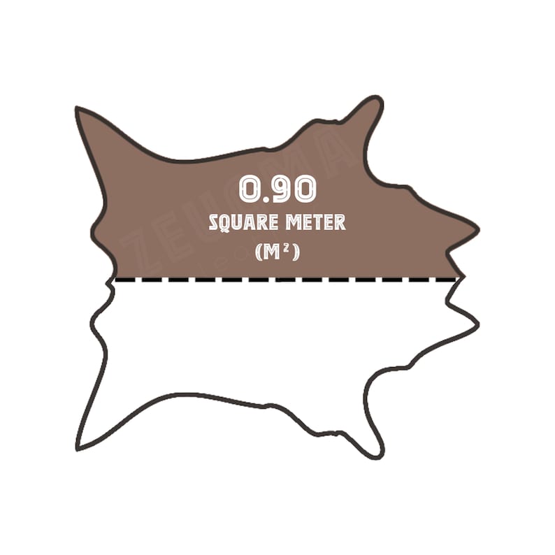 May include: A brown, irregularly shaped object with the text "0.90 SQUARE METER (M&sup2;)". The object is divided by a dashed line. The background is white.