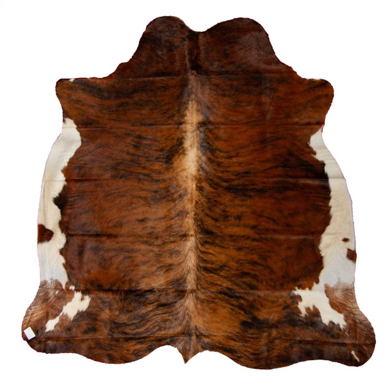 May include: A brown and white cowhide rug with a natural, irregular shape. The hide has a variety of brown and white markings.