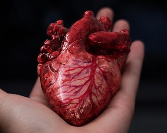Handmade Anatomical Heart Clay Sculpture, Gothic Dark Academia Decor, Oddity Curiosity Macabre Gift