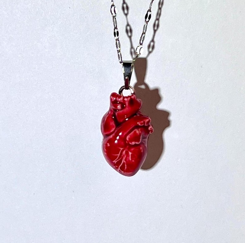 May include: A silver chain necklace with a red anatomical heart pendant.