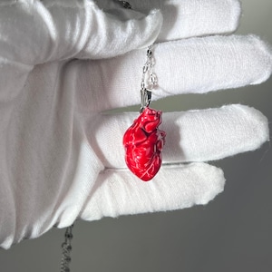 May include: A red anatomical heart pendant necklace. The heart is detailed and realistic, with visible veins and chambers. The necklace is made of silver chain.