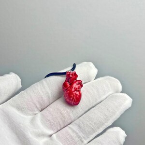 May include: A red anatomical heart pendant necklace on a black cord. The heart is detailed with realistic features and is a unique and eye-catching piece of jewelry.
