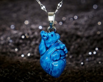 May include: A silver chain necklace with a blue anatomical heart pendant. The heart is detailed with veins and chambers.